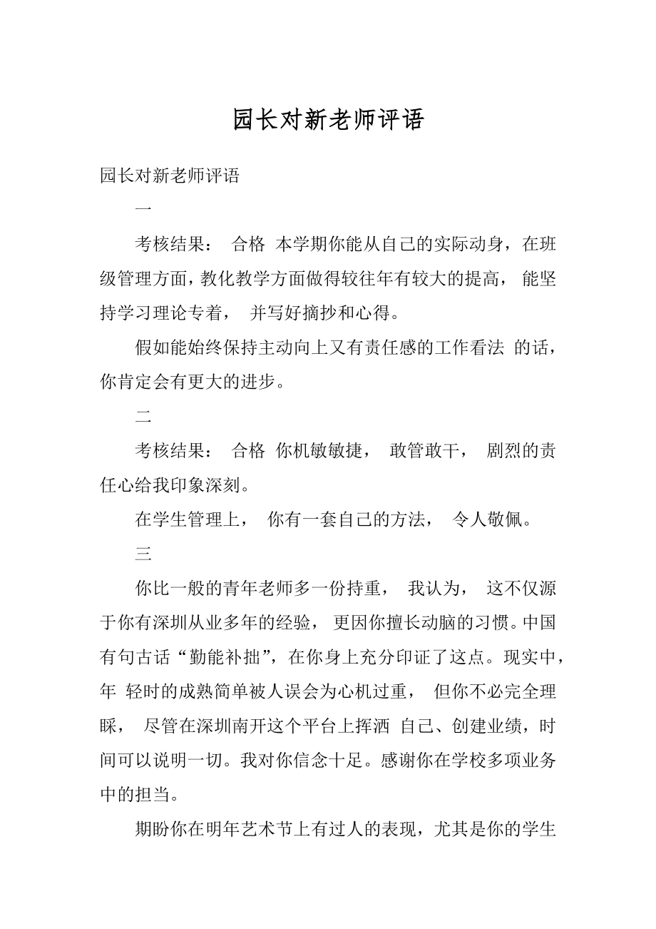 园长对新老师评语汇编.docx_第1页