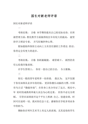 园长对新老师评语汇编.docx