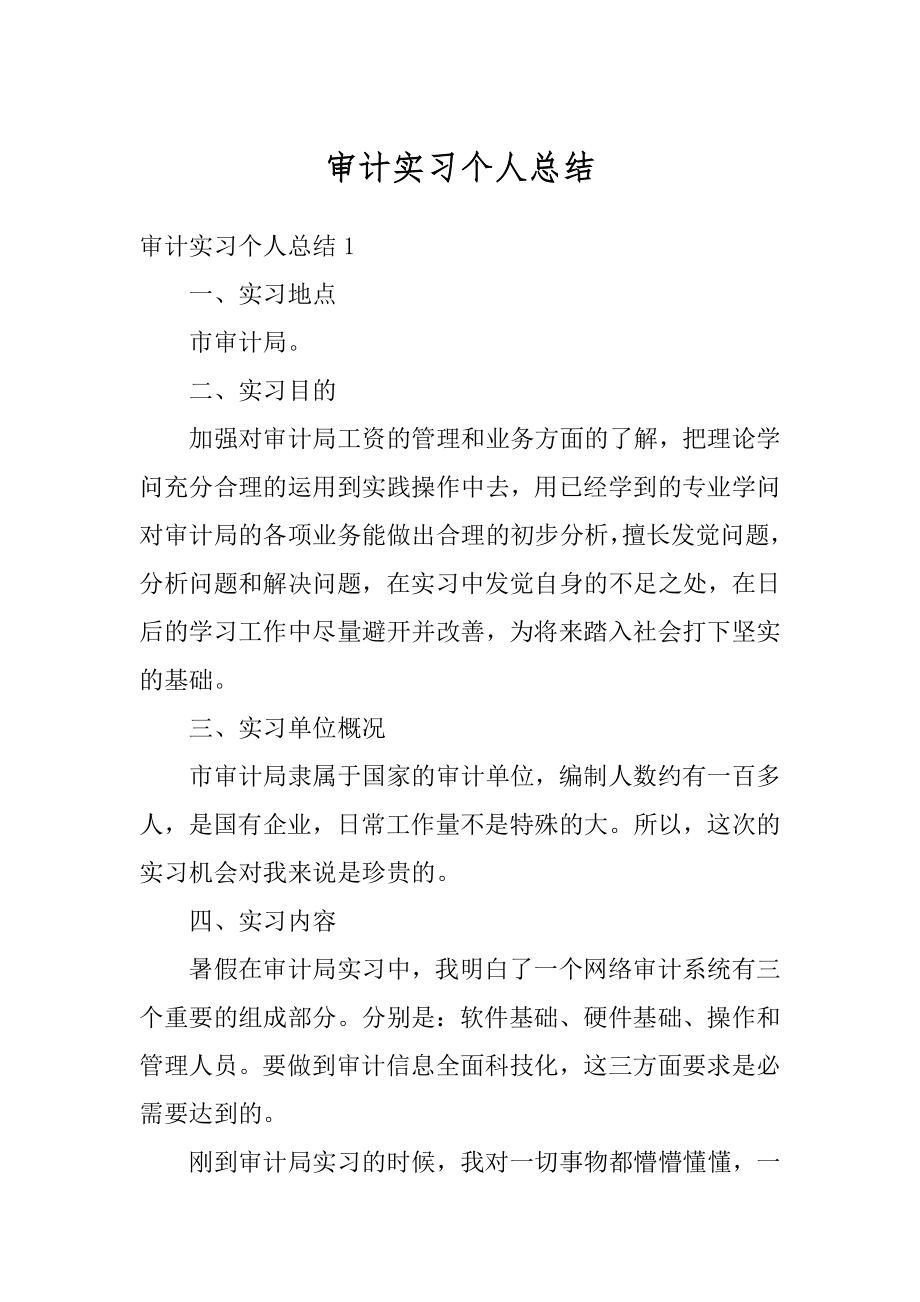 审计实习个人总结精品.docx_第1页