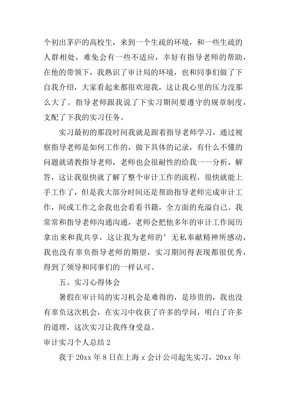 审计实习个人总结精品.docx_第2页