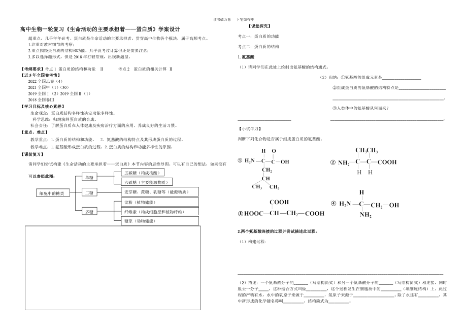 高三生物一轮复习学案：生命活动的主要承担者---蛋白质 .docx_第1页