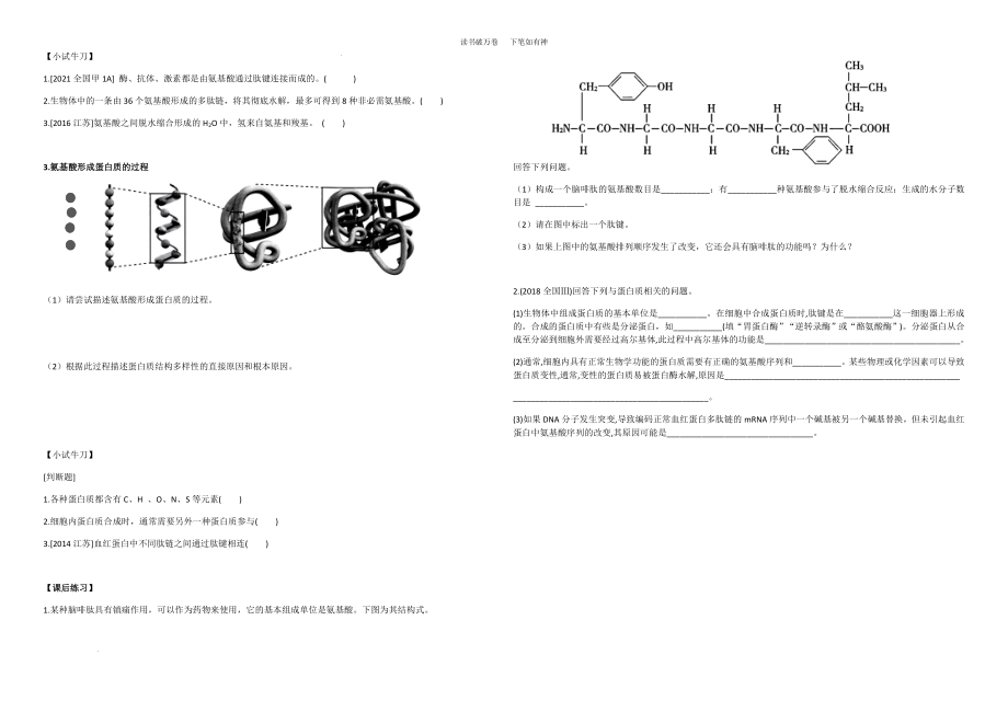 高三生物一轮复习学案：生命活动的主要承担者---蛋白质 .docx_第2页