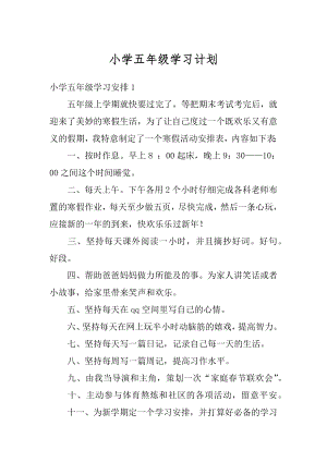 小学五年级学习计划优质.docx