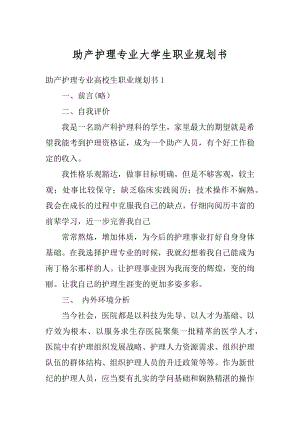 助产护理专业大学生职业规划书范例.docx