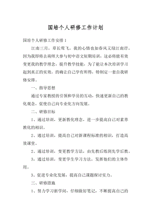 国培个人研修工作计划例文.docx