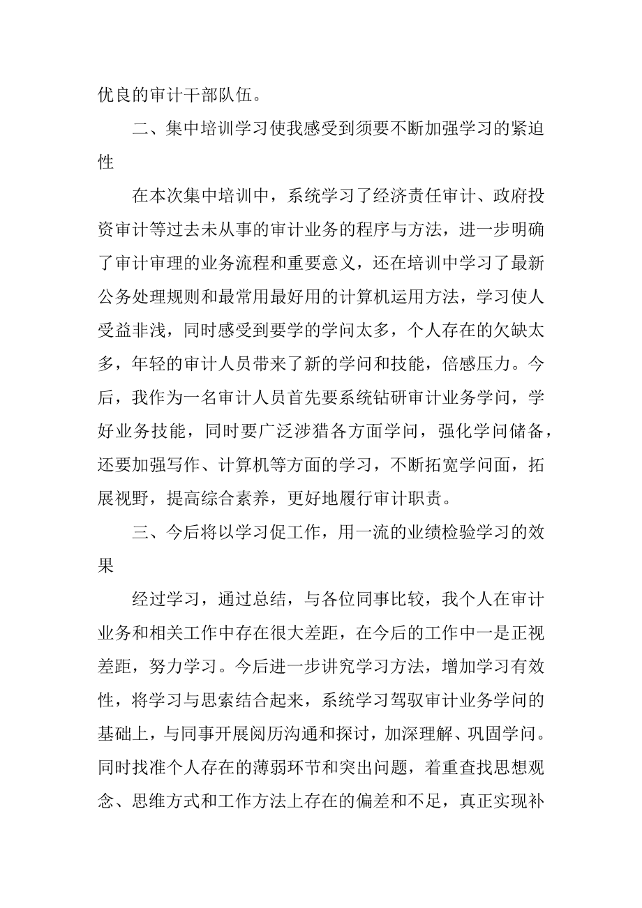 审计培训学习总结优质.docx_第2页