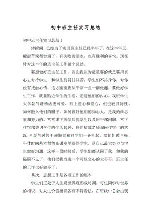 初中班主任实习总结精选.docx