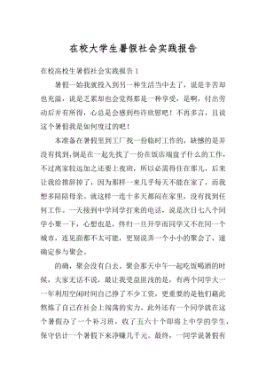 在校大学生暑假社会实践报告例文.docx