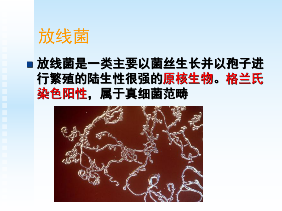 其他微生物ppt课件.ppt_第2页