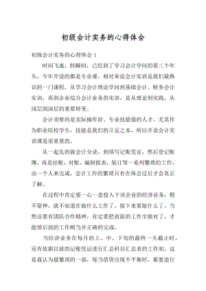 初级会计实务的心得体会最新.docx