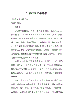 升职的自我推荐信例文.docx