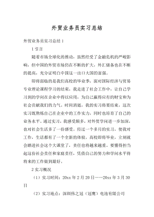 外贸业务员实习总结精品.docx