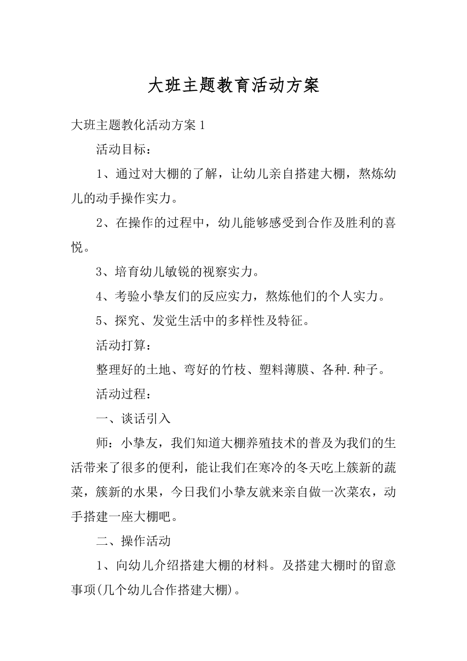 大班主题教育活动方案精编.docx_第1页