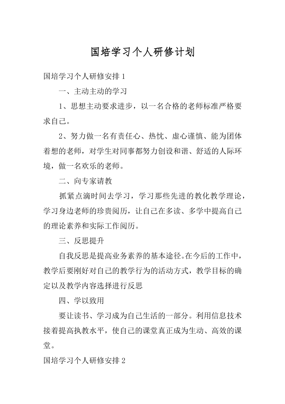 国培学习个人研修计划优质.docx_第1页