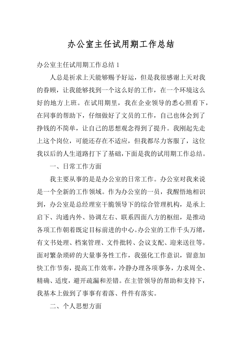 办公室主任试用期工作总结精编.docx_第1页