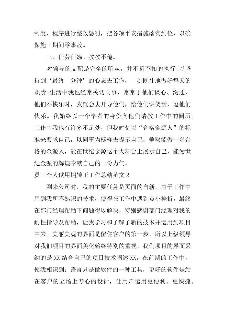 员工个人试用期转正工作总结例文.docx_第2页