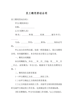 员工聘用劳动合同精编.docx