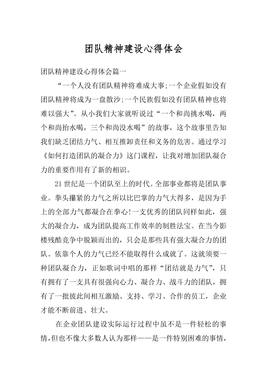 团队精神建设心得体会优质.docx_第1页