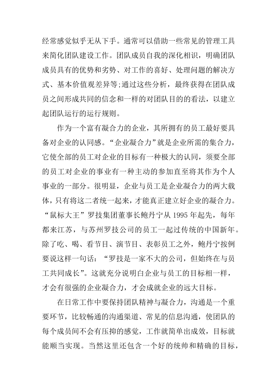 团队精神建设心得体会优质.docx_第2页