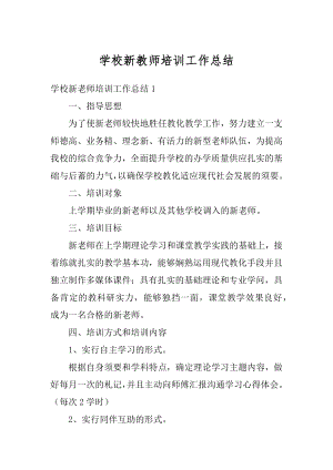 学校新教师培训工作总结精编.docx