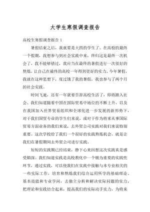 大学生寒假调查报告精选.docx