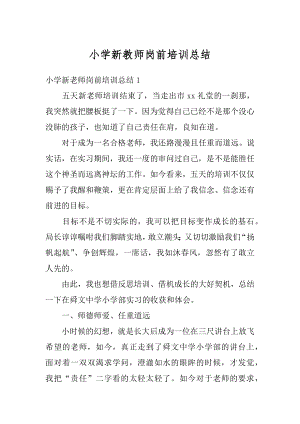 小学新教师岗前培训总结优质.docx