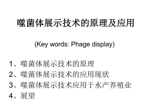 噬菌体展示技术的原理及应用ppt课件.ppt