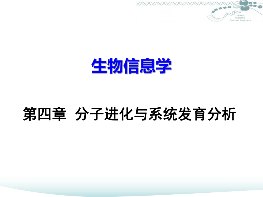 分子进化与系统发育分析ppt课件.ppt_第1页