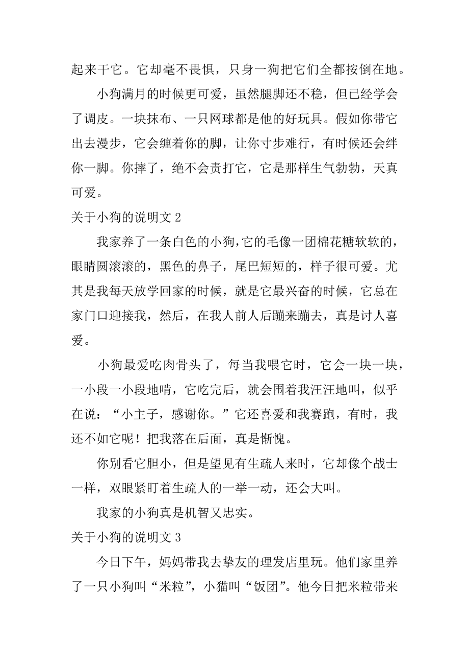 小狗的说明文汇总.docx_第2页