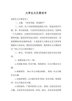 大学生元旦策划书范例.docx