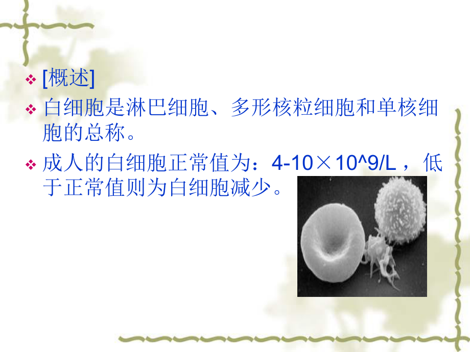 最新北京华科中西医结合医院血液科：低白细胞病人的护理幻灯片.ppt_第2页