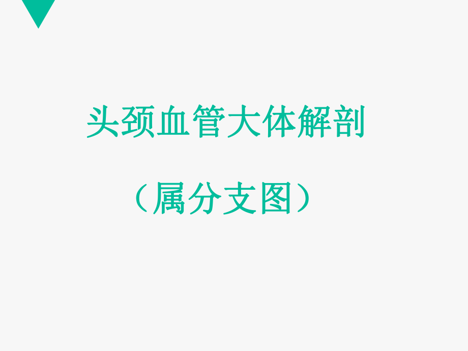 cta头颈血管解剖分段ppt课件.ppt_第2页