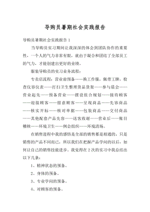 导购员暑期社会实践报告范文.docx