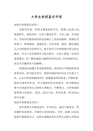 大学生班级鉴定评语精选.docx