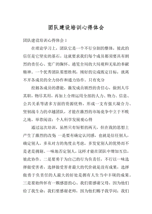 团队建设培训心得体会优质.docx