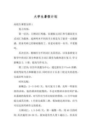 大学生暑假计划精选.docx