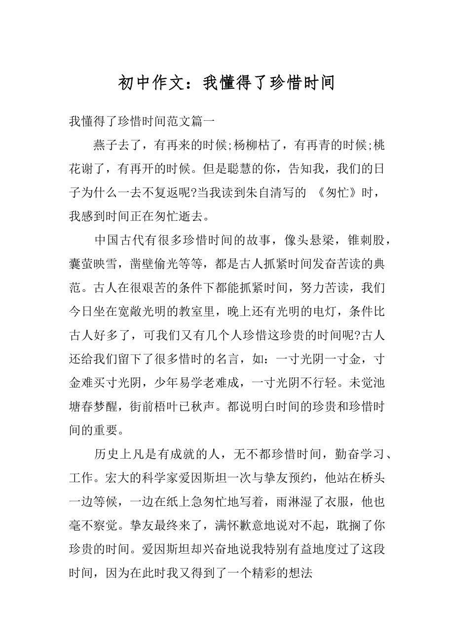 初中作文：我懂得了珍惜时间精选.docx_第1页