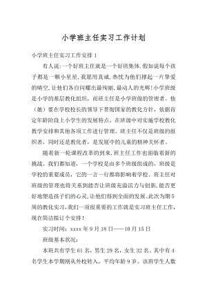 小学班主任实习工作计划汇编.docx