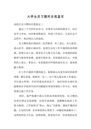 大学生实习期间自我鉴定精编.docx