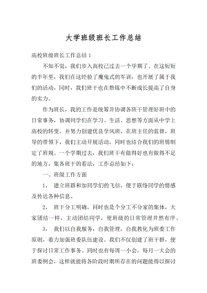 大学班级班长工作总结优质.docx