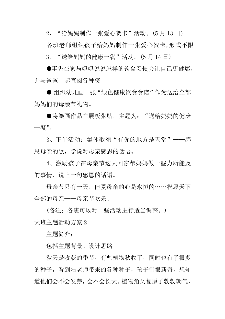 大班主题活动方案精编.docx_第2页