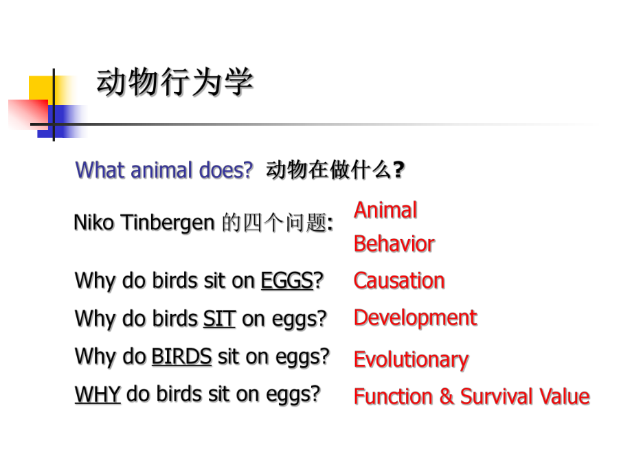 最新动物行为学1精品课件.ppt_第2页