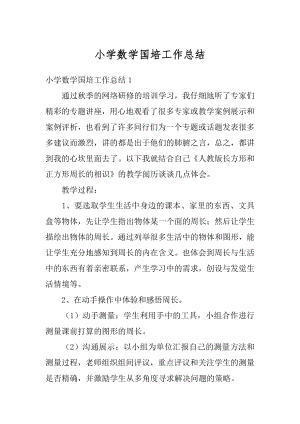 小学数学国培工作总结精选.docx