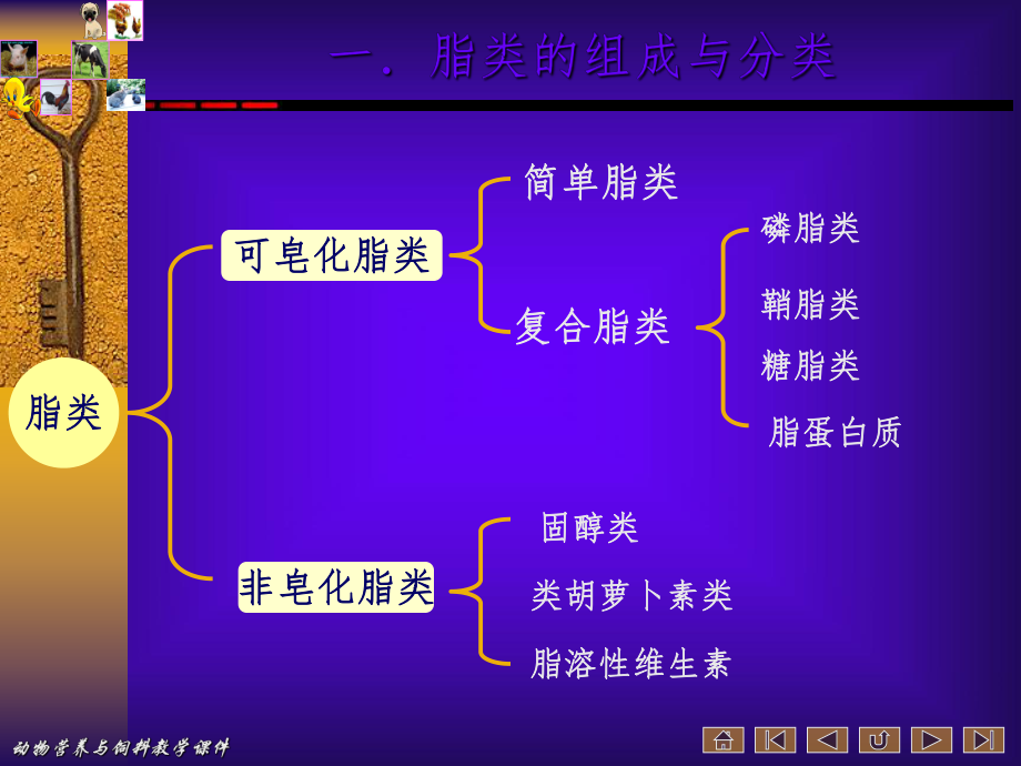 最新动物营养与饲料学课件5ppt课件.ppt_第2页