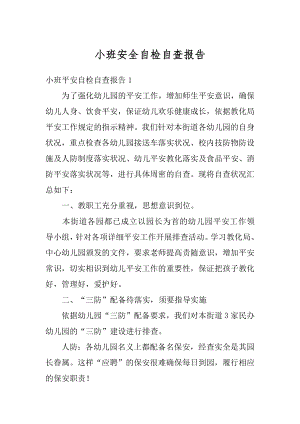 小班安全自检自查报告精编.docx