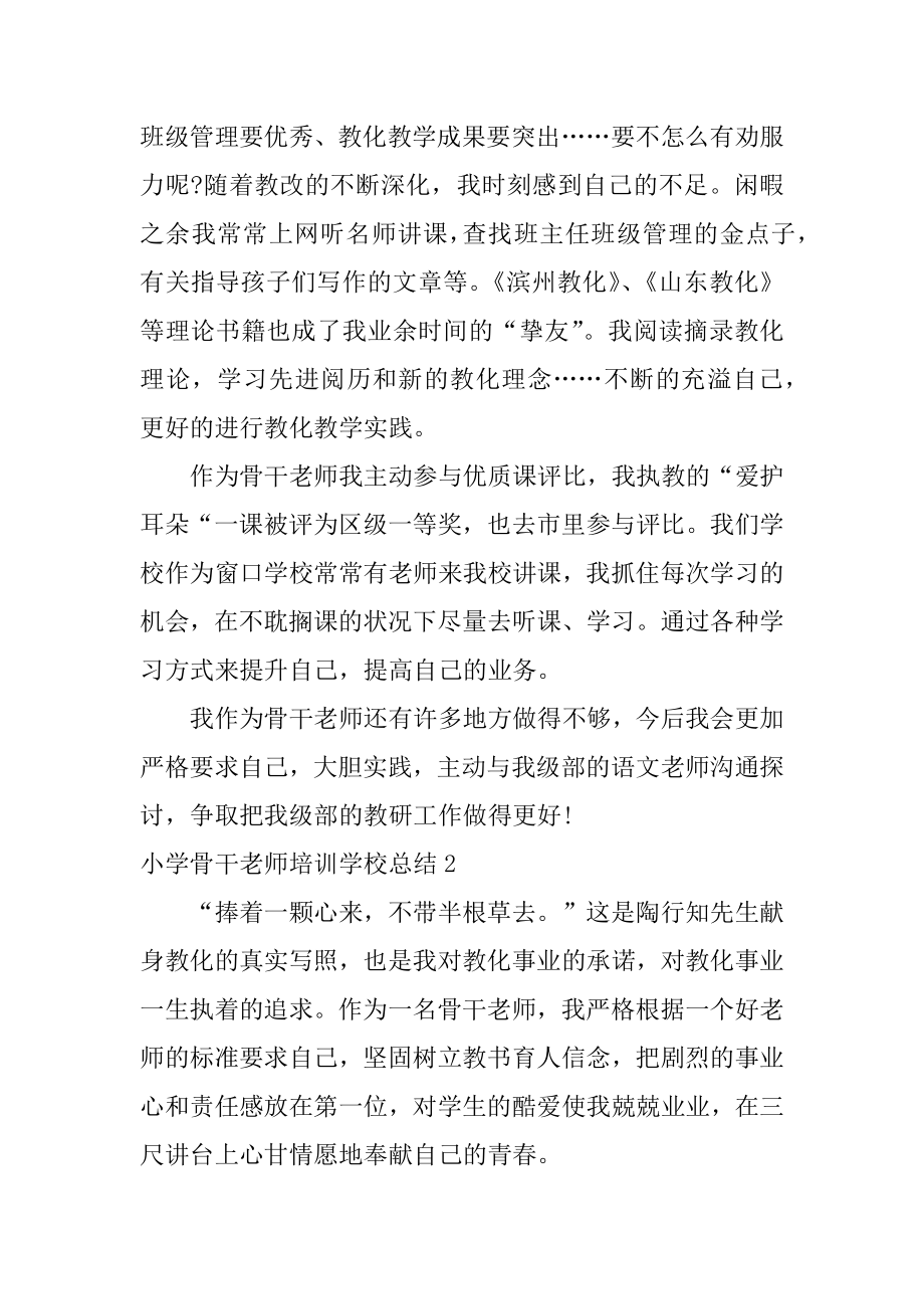 小学骨干教师培训学校总结例文.docx_第2页