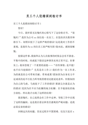 员工个人犯错深刻检讨书最新.docx