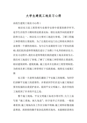 大学生建筑工地实习心得优质.docx