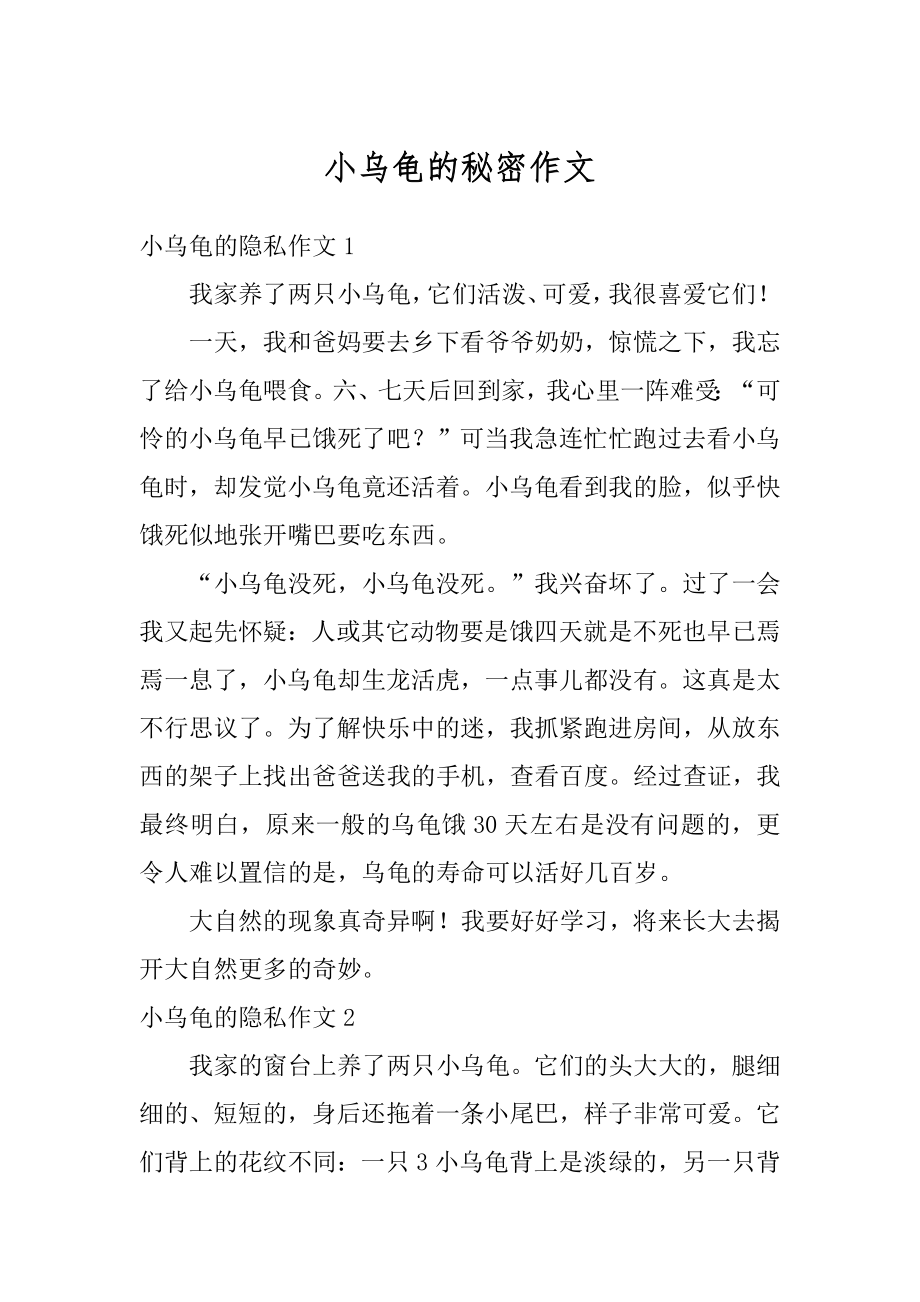 小乌龟的秘密作文精选.docx_第1页