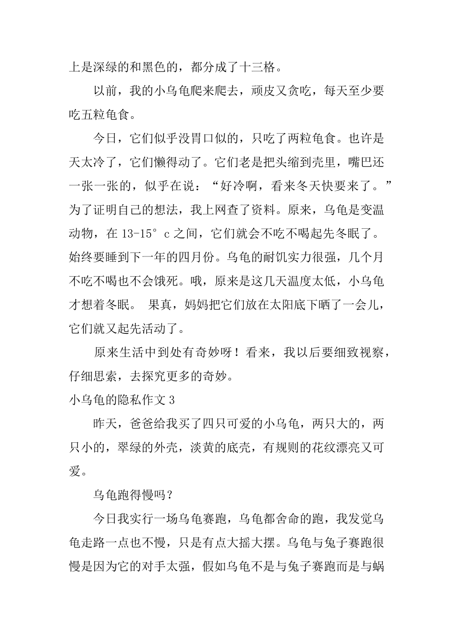 小乌龟的秘密作文精选.docx_第2页